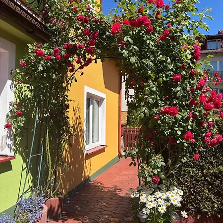 Wiemeda ホームステイ